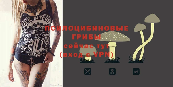 крисы Алексеевка