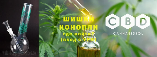шишки Аркадак