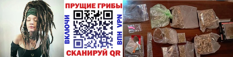 Галлюциногенные грибы Cubensis  Липки 