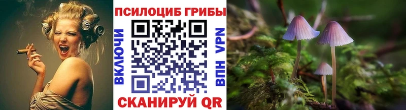 Псилоцибиновые грибы Cubensis Липки
